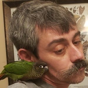 Meet your Posher, Ben